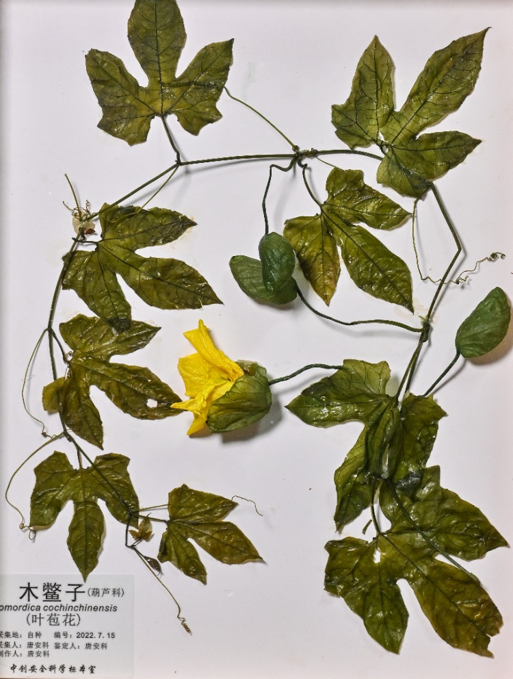 91热亚洲精品在线国产