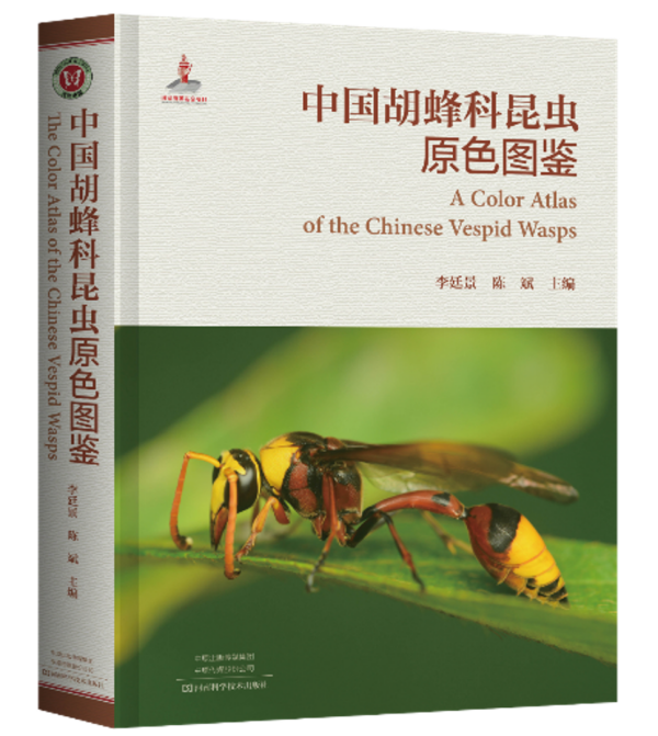91热亚洲精品在线国产