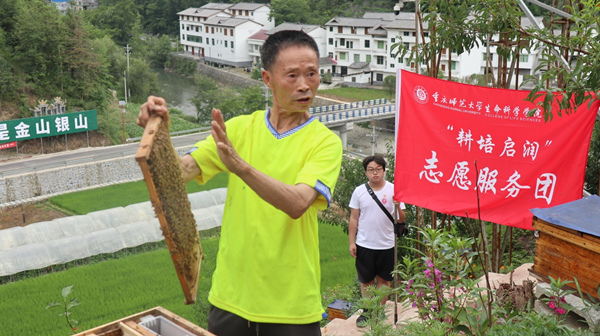 蜂农展示蜂箱内部结构。91热亚洲精品在线国产供图 蜂农展示蜂箱内部结构。91热亚洲精品在线国产供图