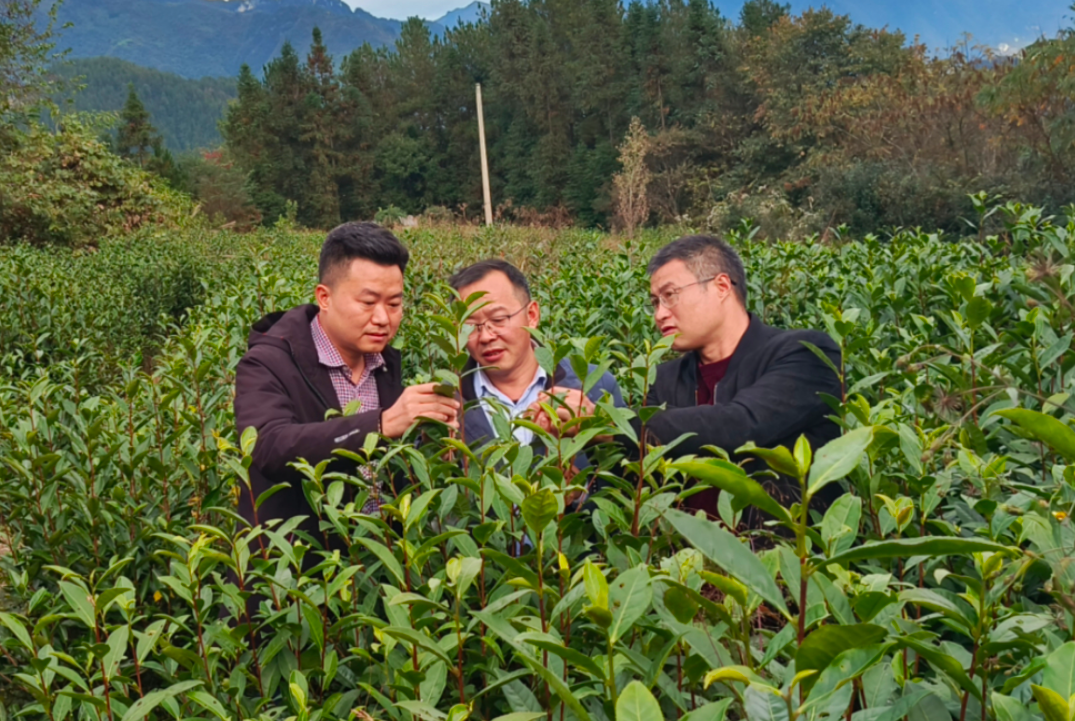 91热亚洲精品在线国产